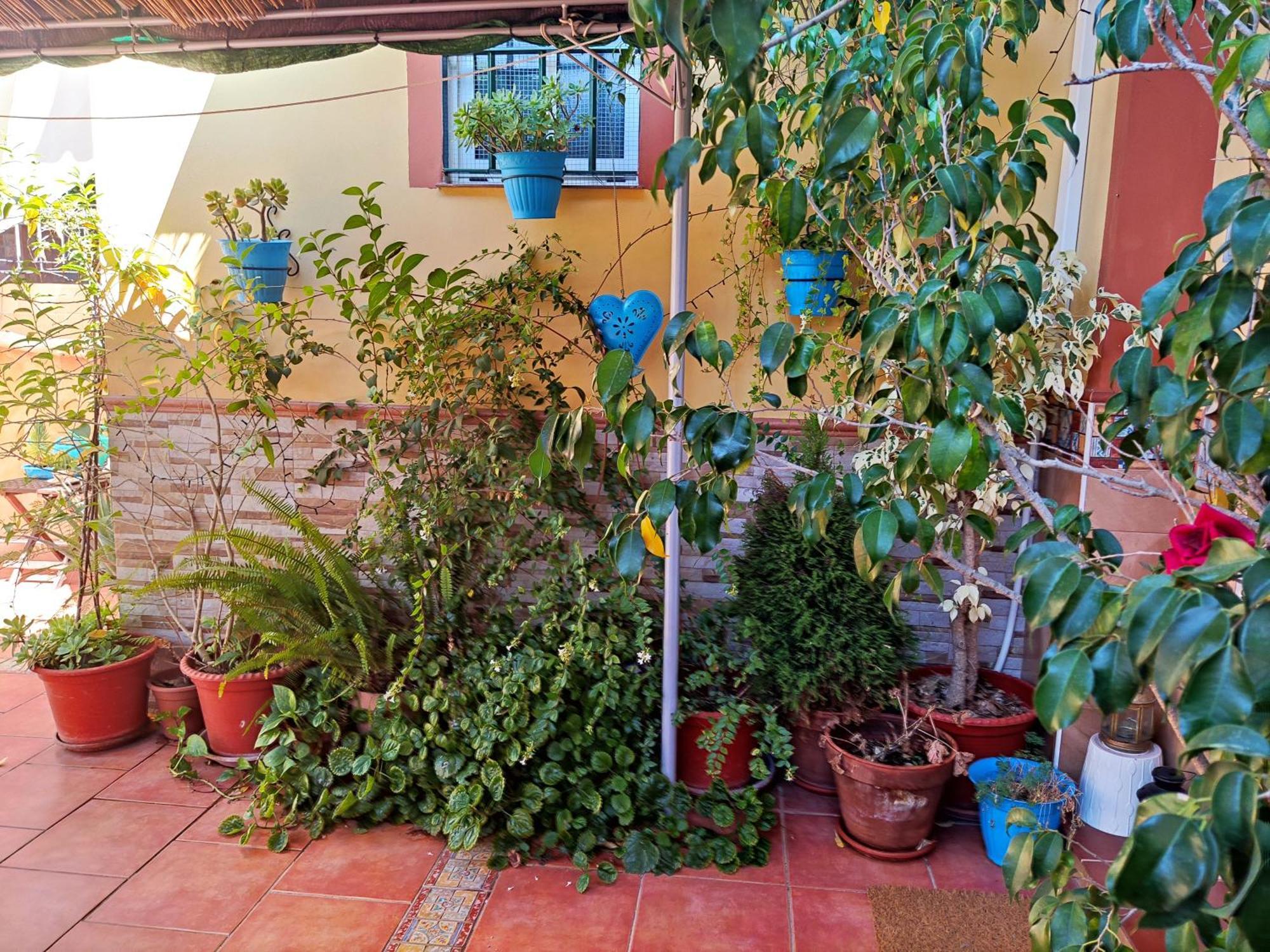 Apartamento Cool Garden Mairena del Aljarafe Bagian luar foto
