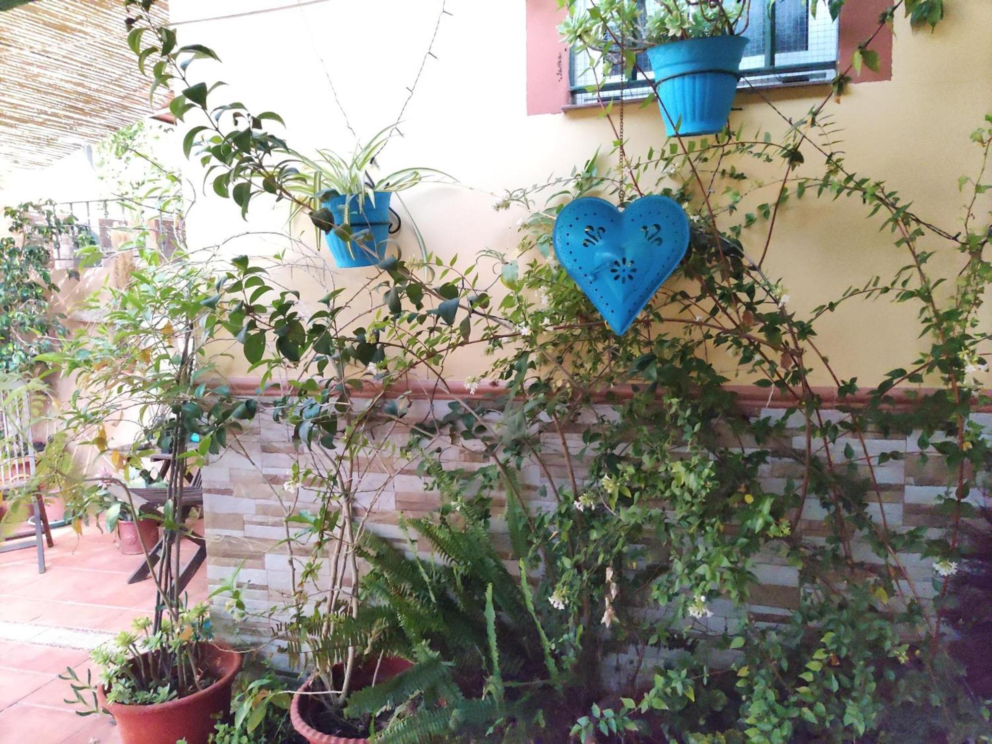 Apartamento Cool Garden Mairena del Aljarafe Bagian luar foto